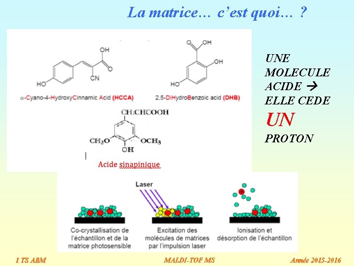 La matrice… c’est quoi… ? UNE MOLECULE ACIDE ELLE CEDE UN PROTON 1 TS La matrice… c’est quoi… ? UNE MOLECULE ACIDE ELLE CEDE UN PROTON 1 TS