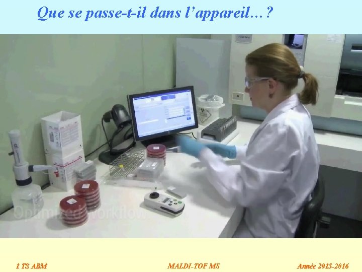 Que se passe-t-il dans l’appareil…? 1 TS ABM MALDI-TOF MS Année 2015 -2016 Que se passe-t-il dans l’appareil…? 1 TS ABM MALDI-TOF MS Année 2015 -2016