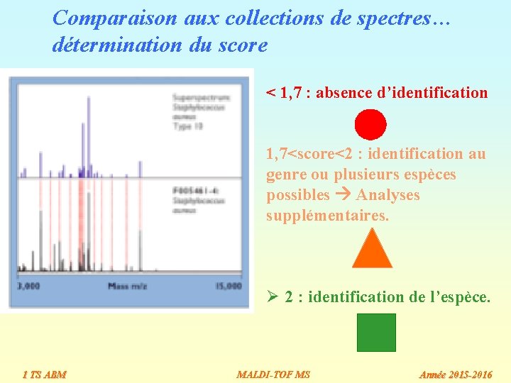 Comparaison aux collections de spectres… détermination du score < 1, 7 : absence d’identification Comparaison aux collections de spectres… détermination du score < 1, 7 : absence d’identification