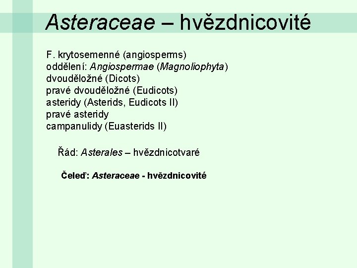 Asteraceae – hvězdnicovité F. krytosemenné (angiosperms) oddělení: Angiospermae (Magnoliophyta) dvouděložné (Dicots) pravé dvouděložné (Eudicots)