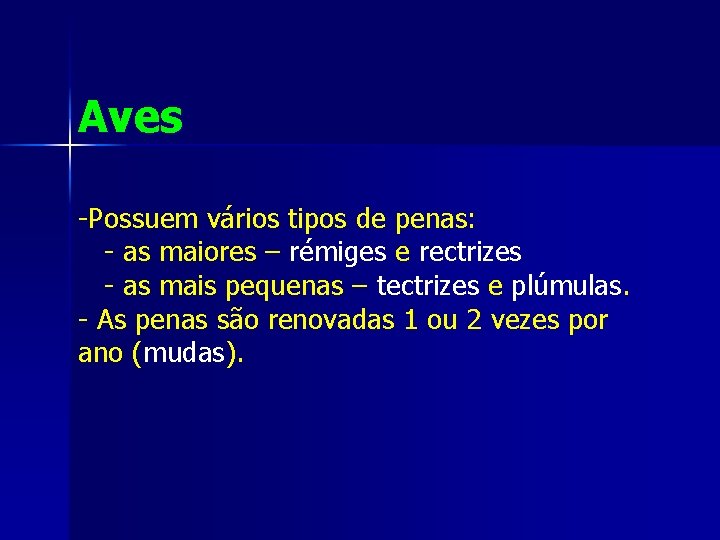 Aves -Possuem vários tipos de penas: - as maiores – rémiges e rectrizes -