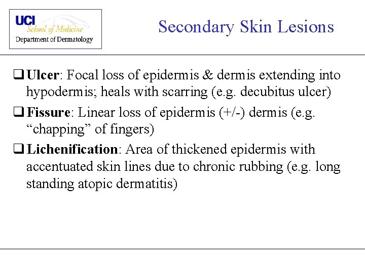 Secondary Skin Lesions q Ulcer: Focal loss of epidermis & dermis extending into hypodermis;