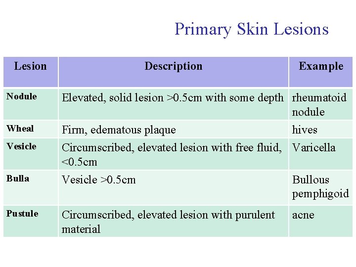 Primary Skin Lesions Lesion Nodule Wheal Vesicle Bulla Pustule Description Example Elevated, solid lesion