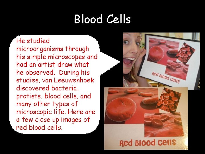 Blood Cells He studied microorganisms through his simple microscopes and had an artist draw