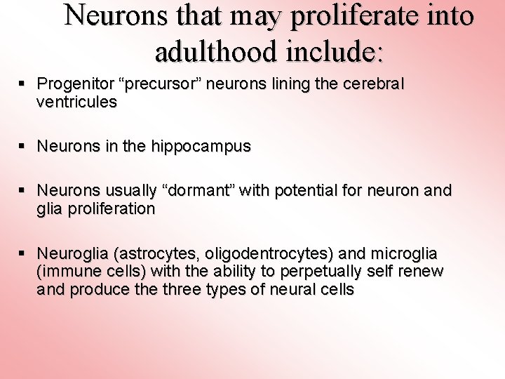 Neurons that may proliferate into adulthood include: § Progenitor “precursor” neurons lining the cerebral