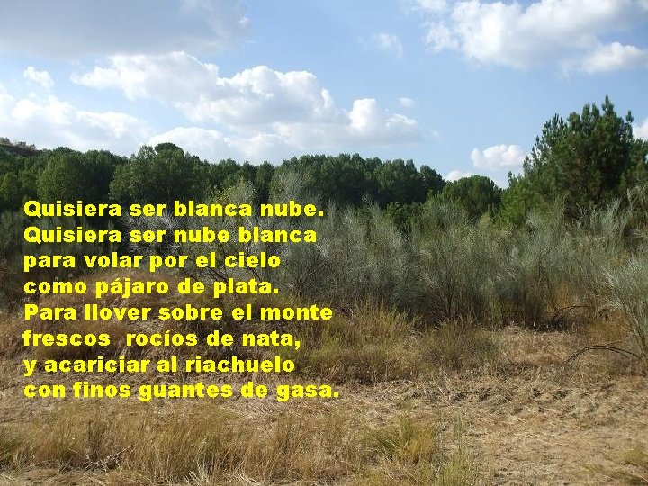 Quisiera ser blanca nube. Quisiera ser nube blanca para volar por el cielo como