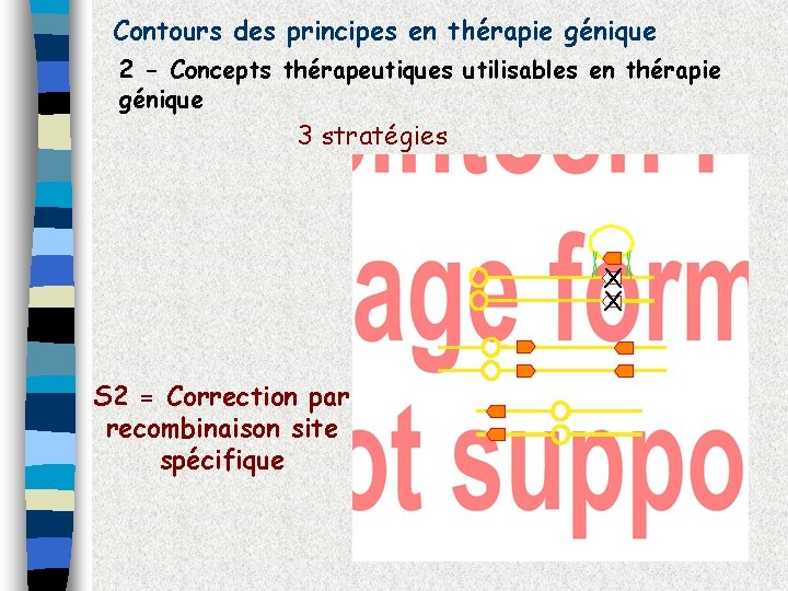 Contours des principes en thérapie génique 2 - Concepts thérapeutiques utilisables en thérapie génique