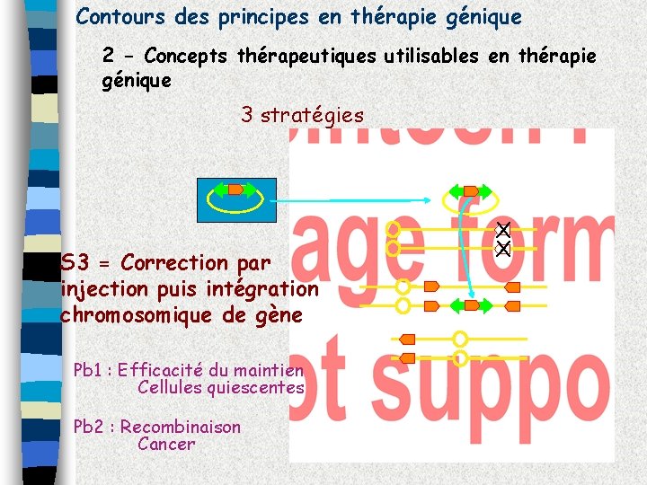 Contours des principes en thérapie génique 2 - Concepts thérapeutiques utilisables en thérapie génique