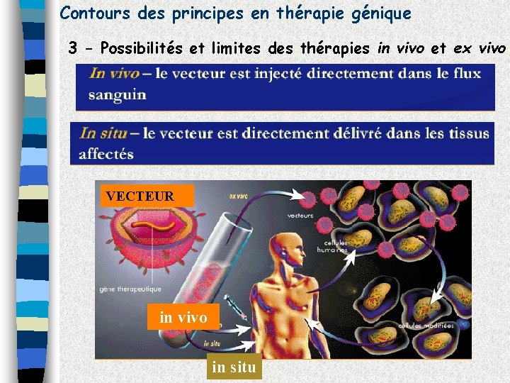 Contours des principes en thérapie génique 3 - Possibilités et limites des thérapies in