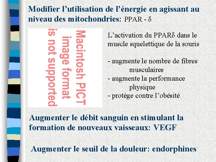 Modifier l’utilisation de l’énergie en agissant au niveau des mitochondries: PPAR - δ L’activation