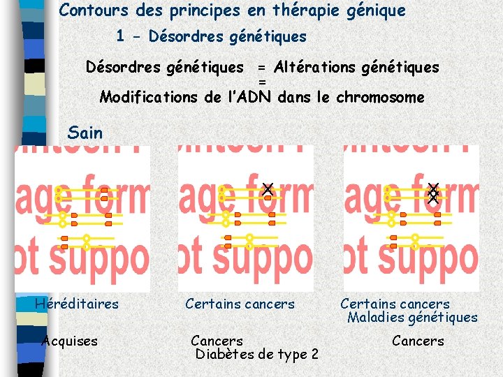 Contours des principes en thérapie génique 1 - Désordres génétiques = Altérations génétiques =