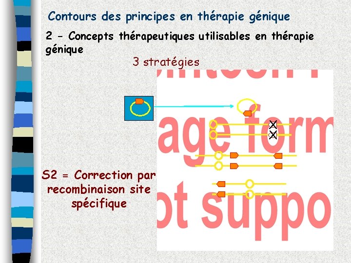 Contours des principes en thérapie génique 2 - Concepts thérapeutiques utilisables en thérapie génique