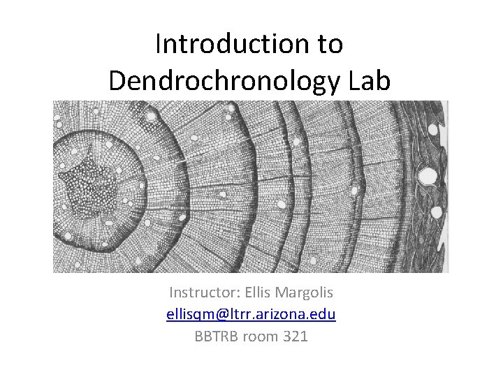 Introduction to Dendrochronology Lab Instructor: Ellis Margolis ellisqm@ltrr. arizona. edu BBTRB room 321 
