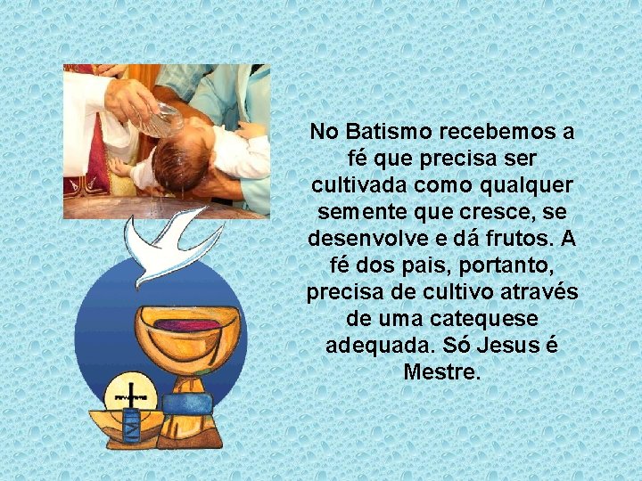 No Batismo recebemos a fé que precisa ser cultivada como qualquer semente que cresce,
