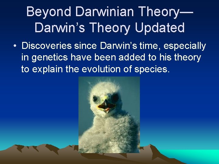 Beyond Darwinian Theory— Darwin’s Theory Updated • Discoveries since Darwin’s time, especially in genetics