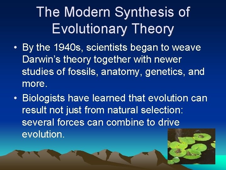 The Modern Synthesis of Evolutionary Theory • By the 1940 s, scientists began to