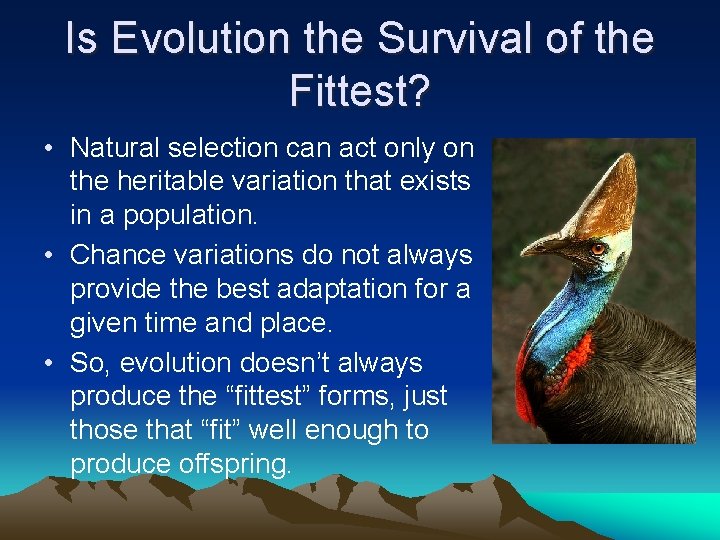 Is Evolution the Survival of the Fittest? • Natural selection can act only on