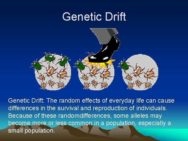 Genetic Drift: The random effects of everyday life can cause differences in the survival