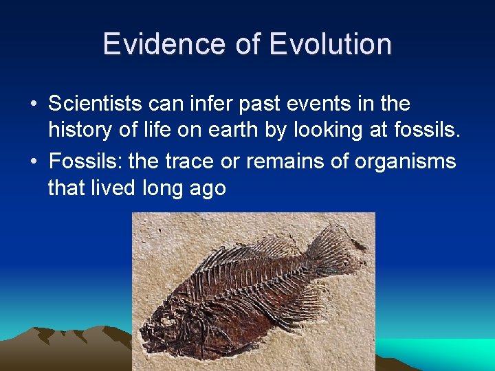 Evidence of Evolution • Scientists can infer past events in the history of life