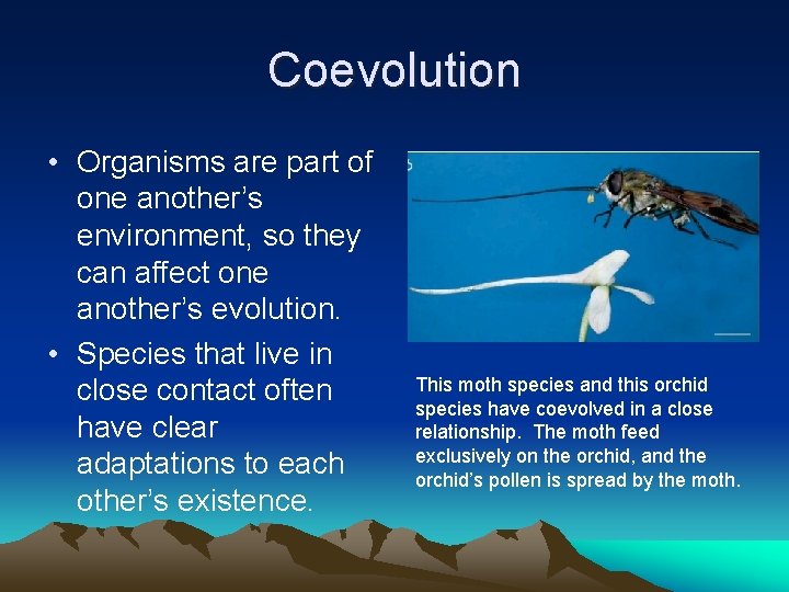 Coevolution • Organisms are part of one another’s environment, so they can affect one