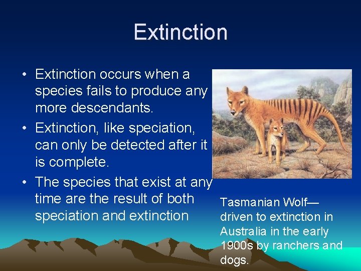 Extinction • Extinction occurs when a species fails to produce any more descendants. •