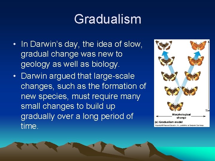 Gradualism • In Darwin’s day, the idea of slow, gradual change was new to