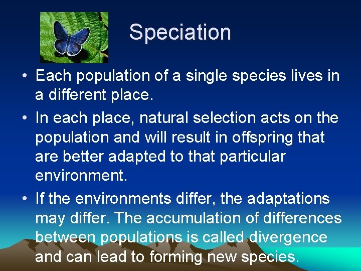 Speciation • Each population of a single species lives in a different place. •