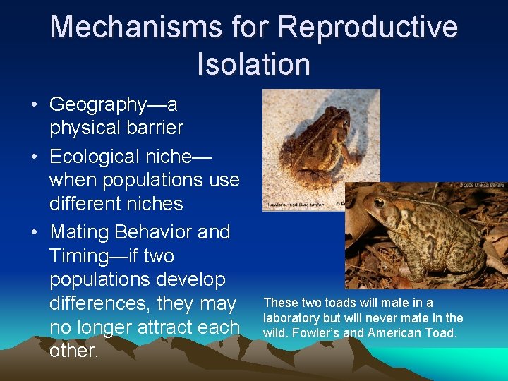 Mechanisms for Reproductive Isolation • Geography—a physical barrier • Ecological niche— when populations use