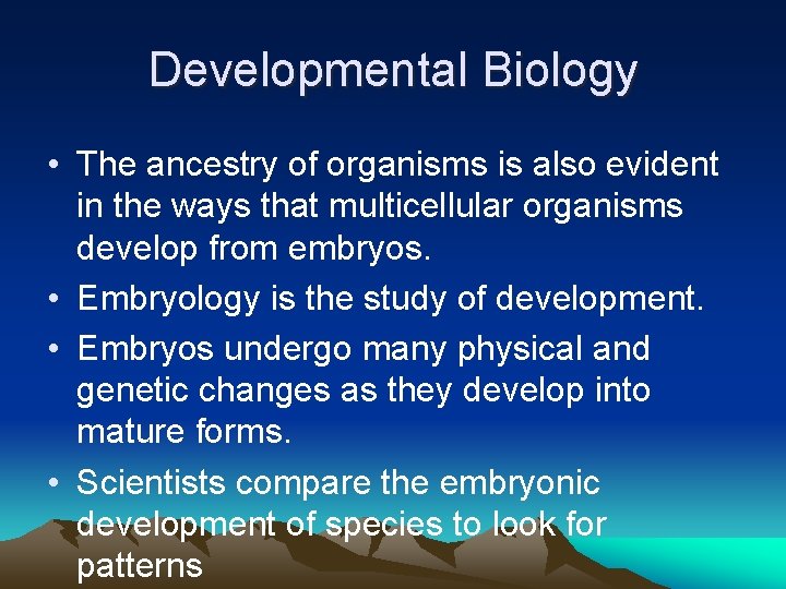 Developmental Biology • The ancestry of organisms is also evident in the ways that