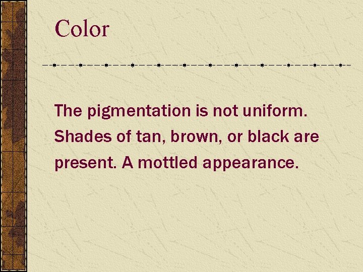Color The pigmentation is not uniform. Shades of tan, brown, or black are present.