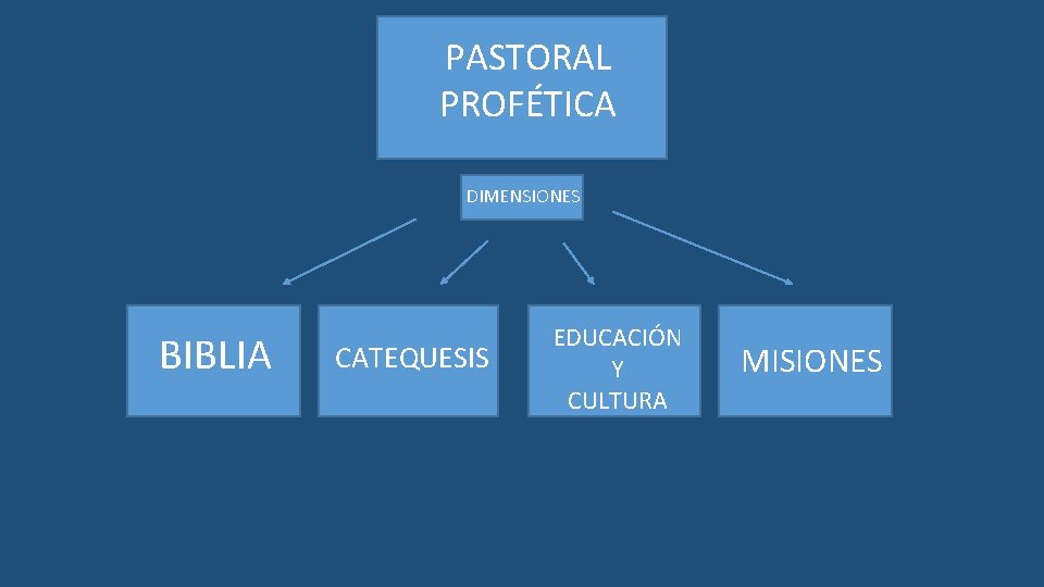PASTORAL PROFÉTICA DIMENSIONES BIBLIA CATEQUESIS EDUCACIÓN Y CULTURA MISIONES 