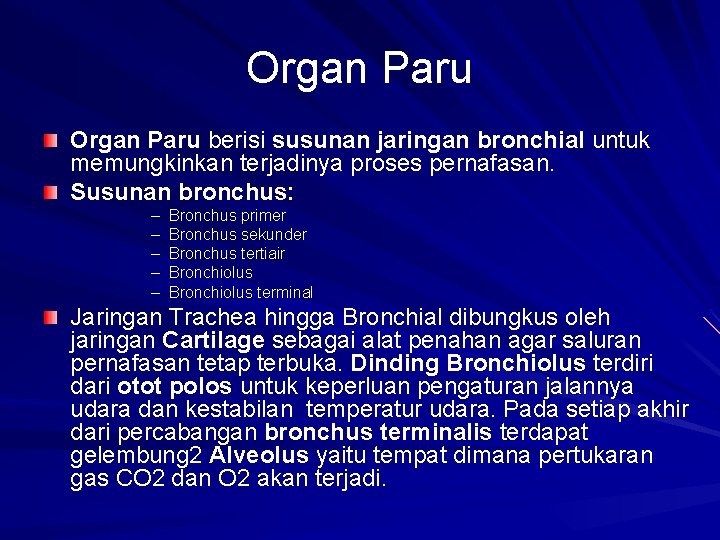 Organ Paru berisi susunan jaringan bronchial untuk memungkinkan terjadinya proses pernafasan. Susunan bronchus: –