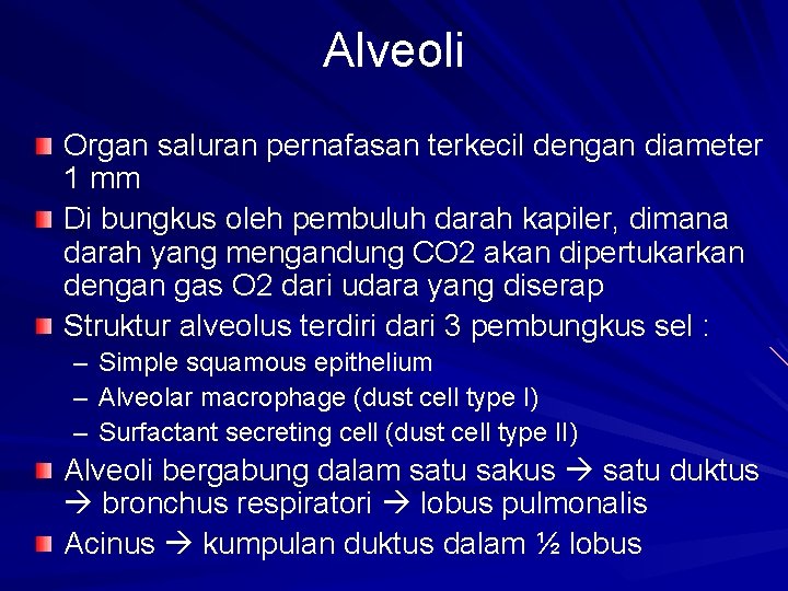 Alveoli Organ saluran pernafasan terkecil dengan diameter 1 mm Di bungkus oleh pembuluh darah