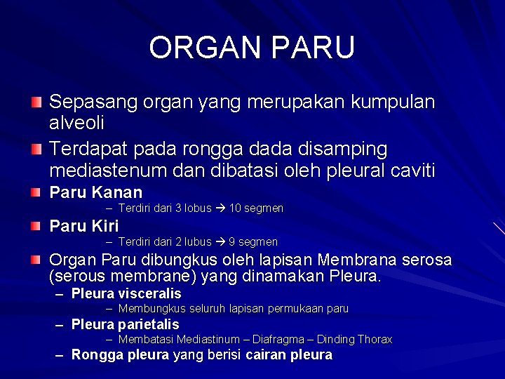 ORGAN PARU Sepasang organ yang merupakan kumpulan alveoli Terdapat pada rongga dada disamping mediastenum
