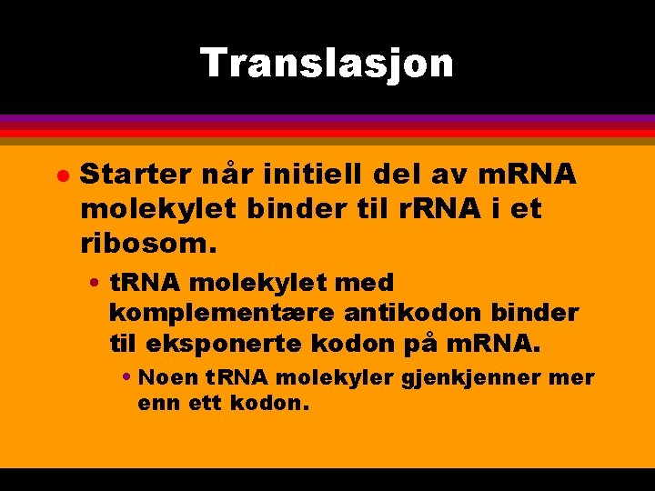Translasjon l Starter når initiell del av m. RNA molekylet binder til r. RNA