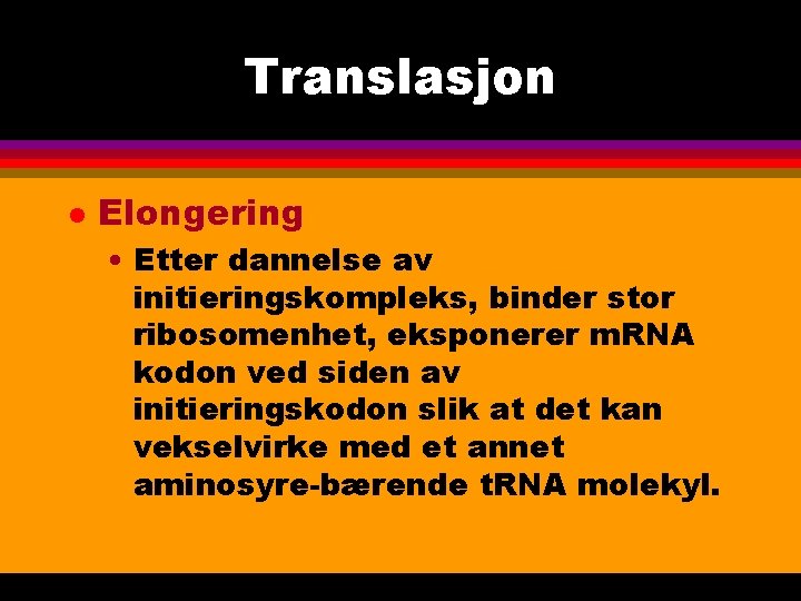 Translasjon l Elongering • Etter dannelse av initieringskompleks, binder stor ribosomenhet, eksponerer m. RNA