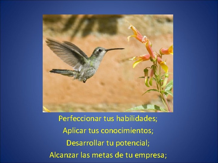 Perfeccionar tus habilidades; Aplicar tus conocimientos; Desarrollar tu potencial; Alcanzar las metas de tu