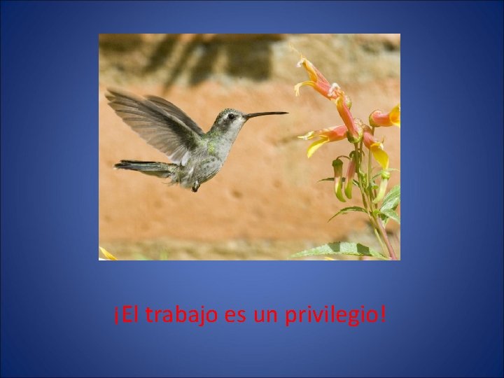 ¡El trabajo es un privilegio! 