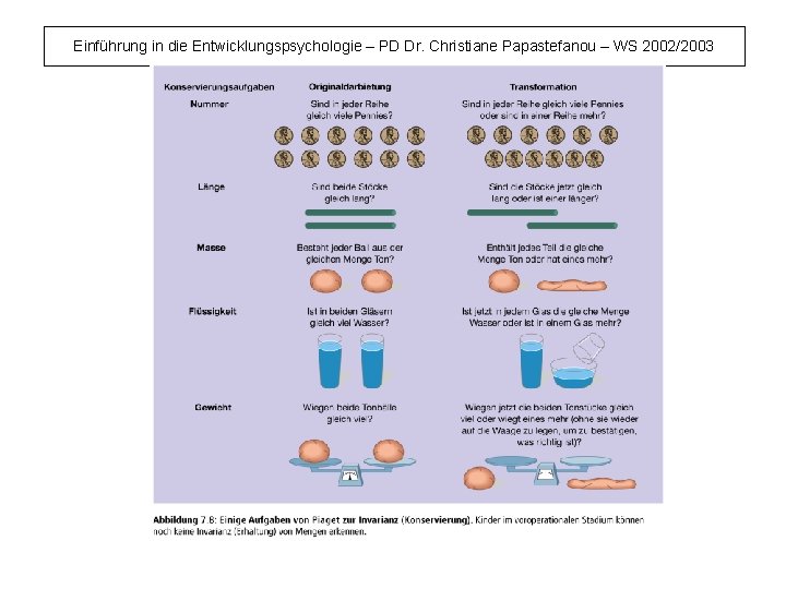 Einführung in die Entwicklungspsychologie – PD Dr. Christiane Papastefanou – WS 2002/2003 