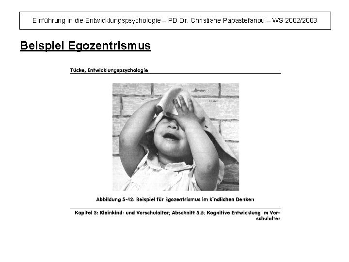 Einführung in die Entwicklungspsychologie – PD Dr. Christiane Papastefanou – WS 2002/2003 Beispiel Egozentrismus