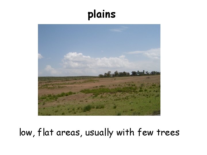 plains low, flat areas, usually with few trees 