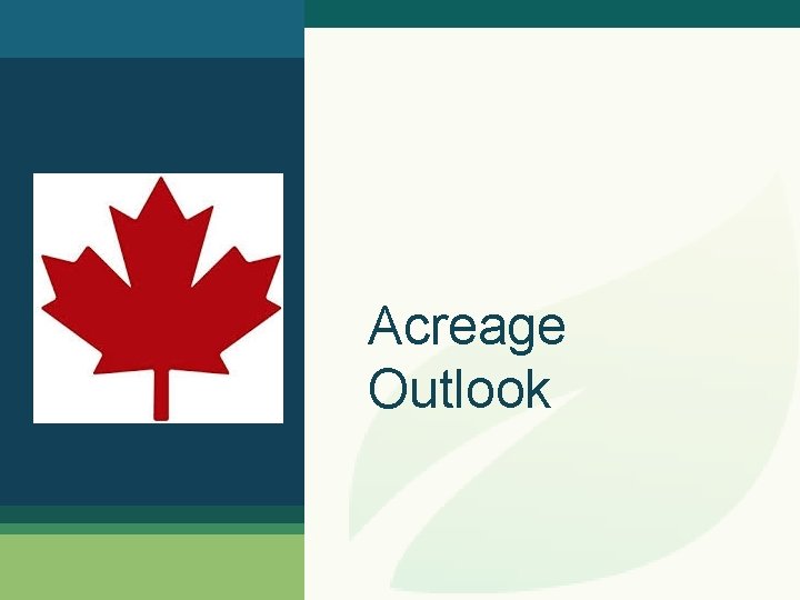 Acreage Outlook 