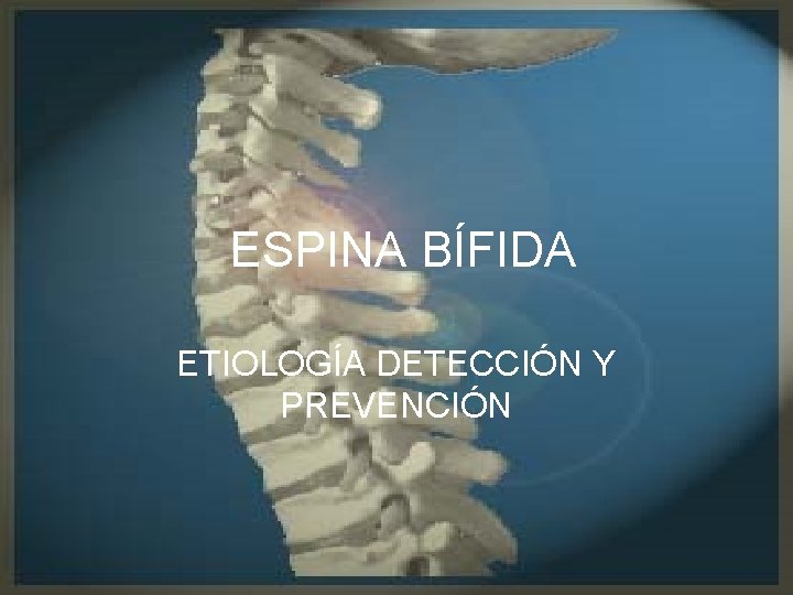 ESPINA BÍFIDA ETIOLOGÍA DETECCIÓN Y PREVENCIÓN 