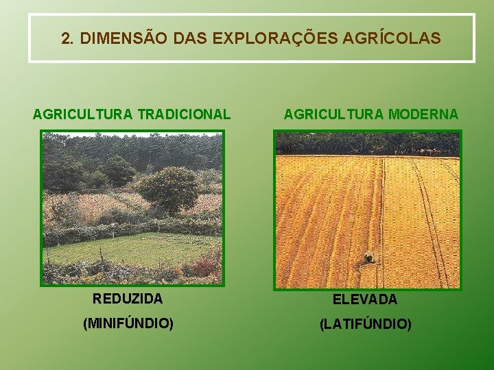 2. DIMENSÃO DAS EXPLORAÇÕES AGRÍCOLAS AGRICULTURA TRADICIONAL AGRICULTURA MODERNA REDUZIDA ELEVADA (MINIFÚNDIO) (LATIFÚNDIO) 