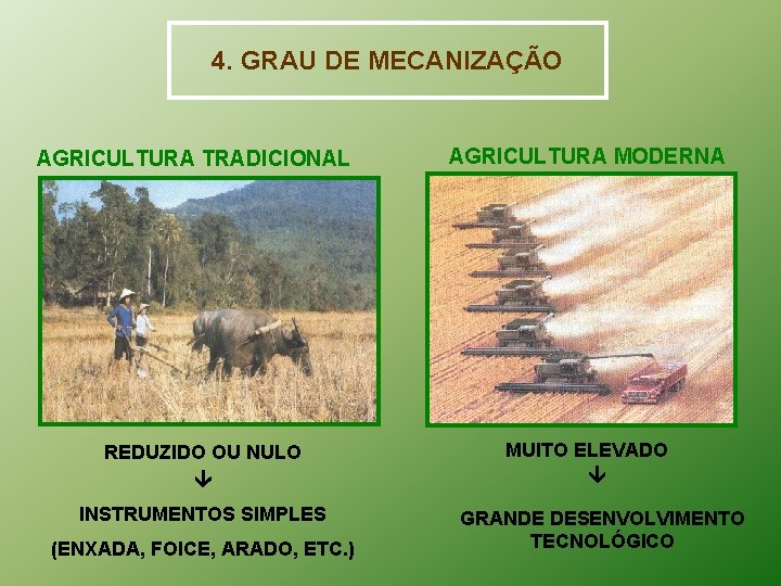 4. GRAU DE MECANIZAÇÃO AGRICULTURA TRADICIONAL REDUZIDO OU NULO INSTRUMENTOS SIMPLES (ENXADA, FOICE, ARADO,