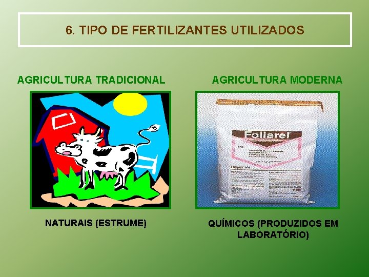 6. TIPO DE FERTILIZANTES UTILIZADOS AGRICULTURA TRADICIONAL NATURAIS (ESTRUME) AGRICULTURA MODERNA QUÍMICOS (PRODUZIDOS EM