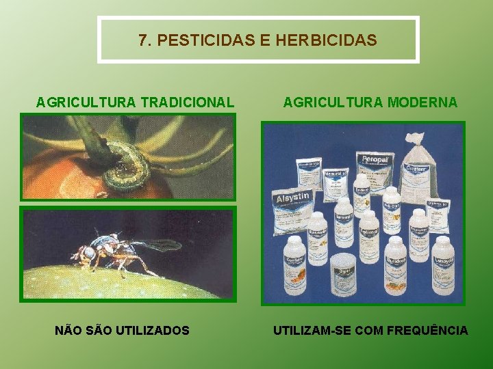 7. PESTICIDAS E HERBICIDAS AGRICULTURA TRADICIONAL NÃO SÃO UTILIZADOS AGRICULTURA MODERNA UTILIZAM-SE COM FREQUÊNCIA