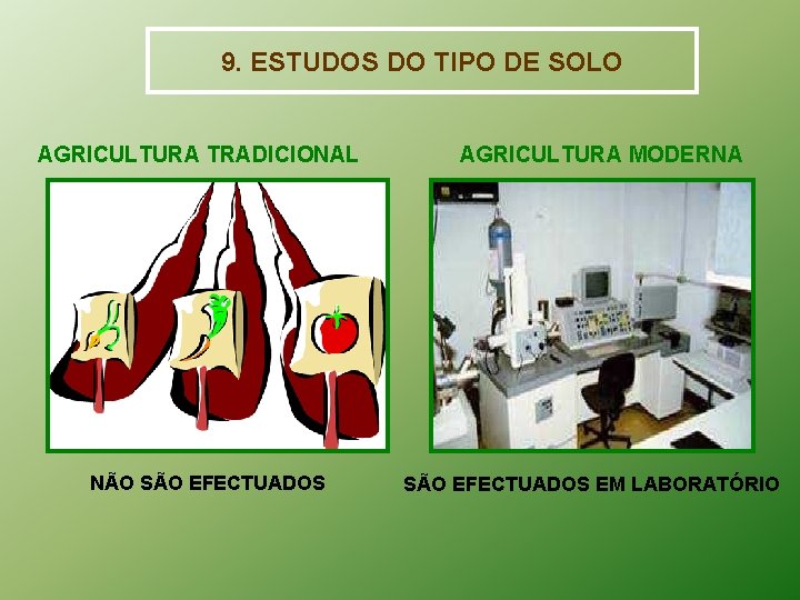 9. ESTUDOS DO TIPO DE SOLO AGRICULTURA TRADICIONAL NÃO SÃO EFECTUADOS AGRICULTURA MODERNA SÃO