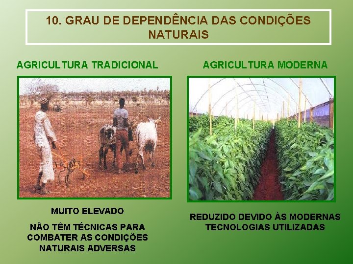 10. GRAU DE DEPENDÊNCIA DAS CONDIÇÕES NATURAIS AGRICULTURA TRADICIONAL MUITO ELEVADO NÃO TÊM TÉCNICAS