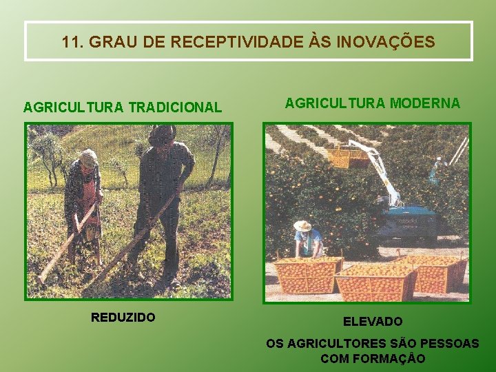 11. GRAU DE RECEPTIVIDADE ÀS INOVAÇÕES AGRICULTURA TRADICIONAL AGRICULTURA MODERNA REDUZIDO ELEVADO OS AGRICULTORES